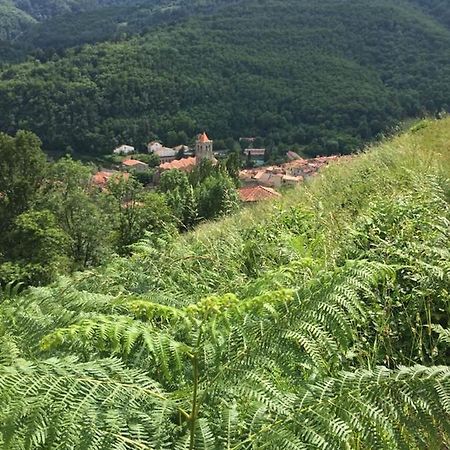 T2 Petite Terrasse Coeur De Ville Prats-de-Mollo-la-Preste Zewnętrze zdjęcie